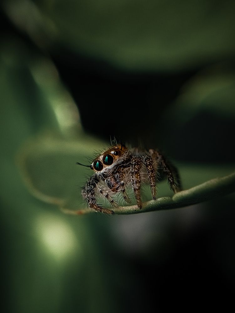 Photograph by Asna Azeez