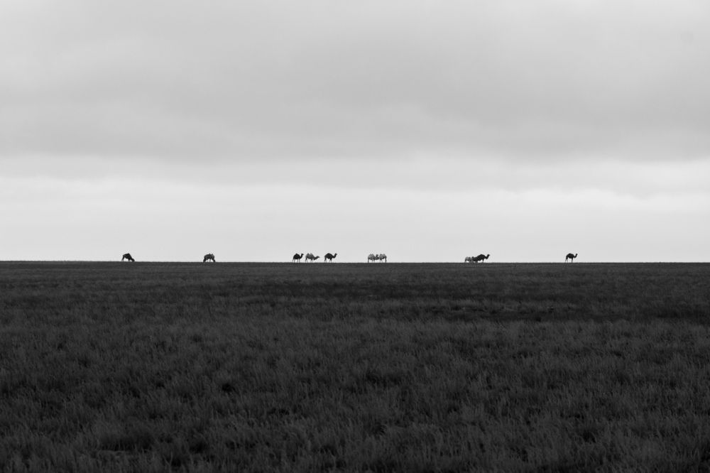 Фотография автора Адам Шаповалов