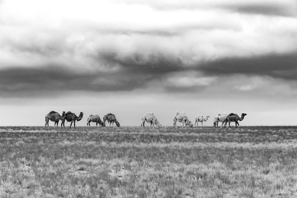 Фотография автора Адам Шаповалов