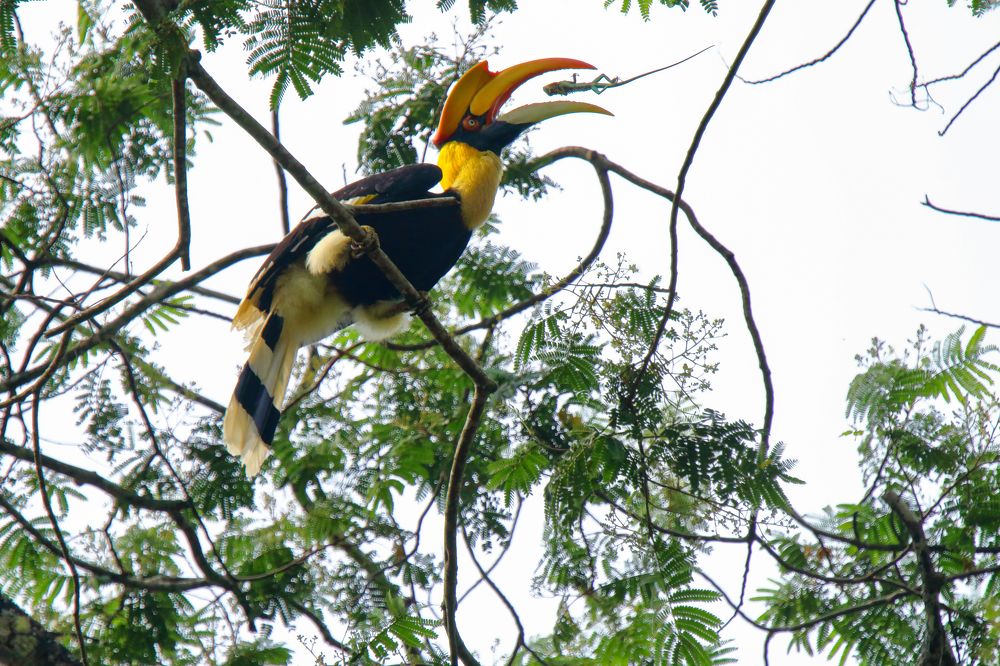 Photograph by Prasad Kn