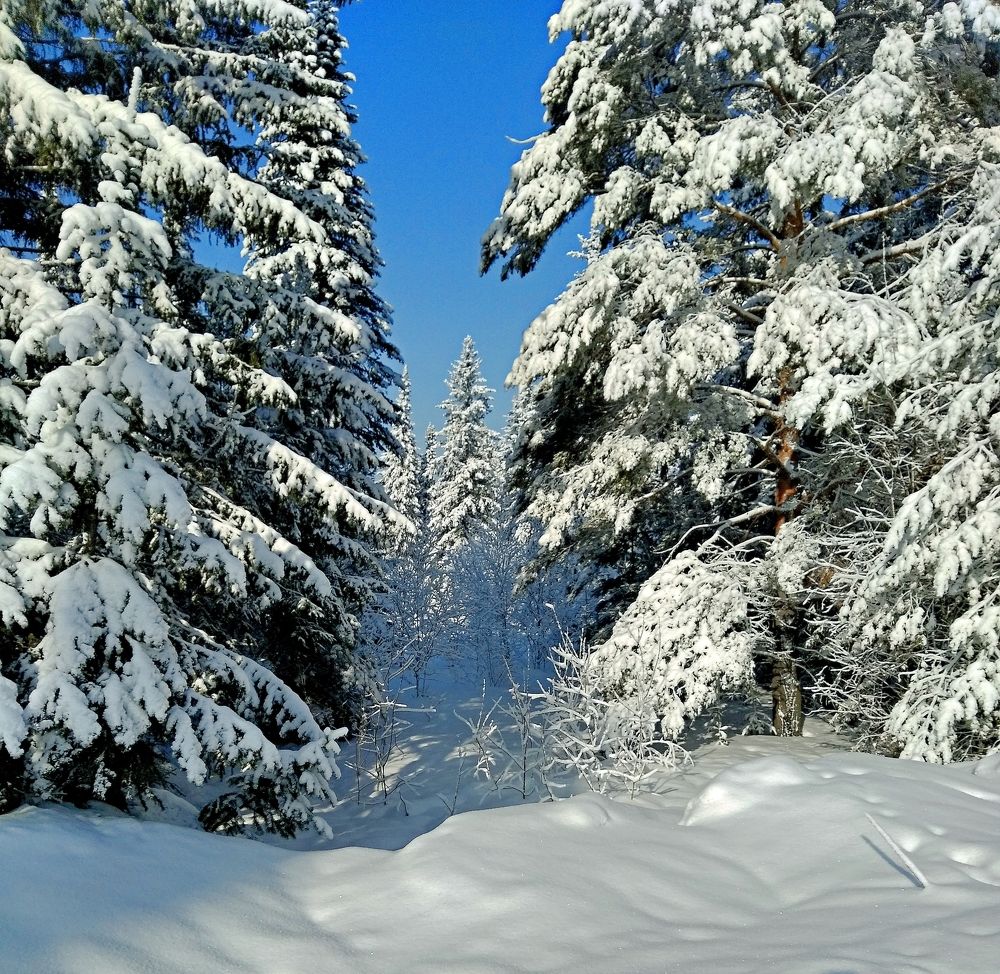 Photograph by Анатолий Майдуров