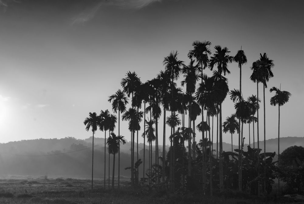 Photograph by rajesh therthala veedu