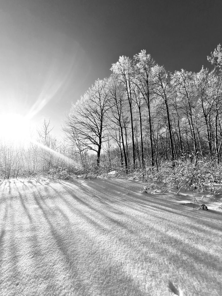 Photograph by Tatiana Denisova