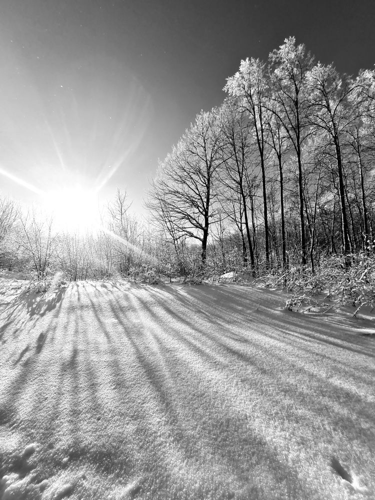 Photograph by Tatiana Denisova