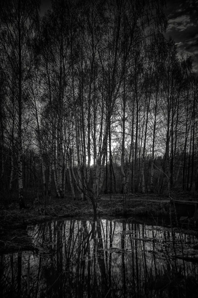 Photograph by Евгений Калагаев