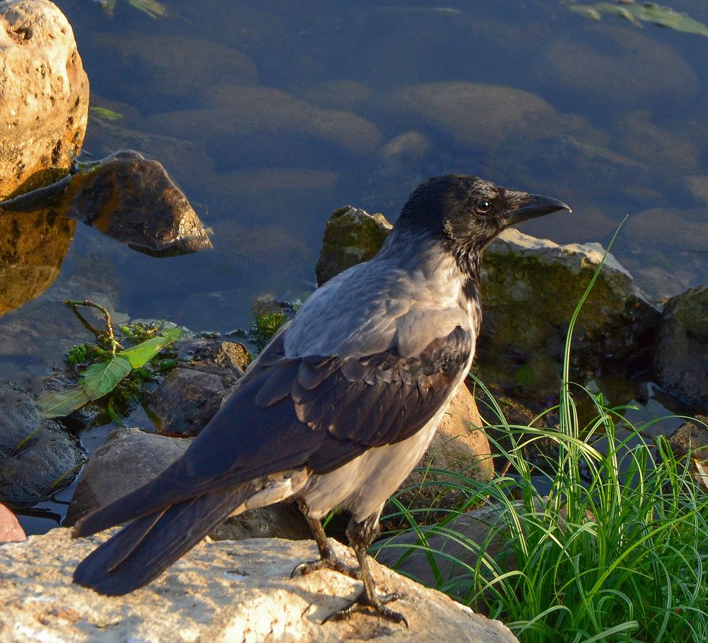 Photograph by Александра Климина