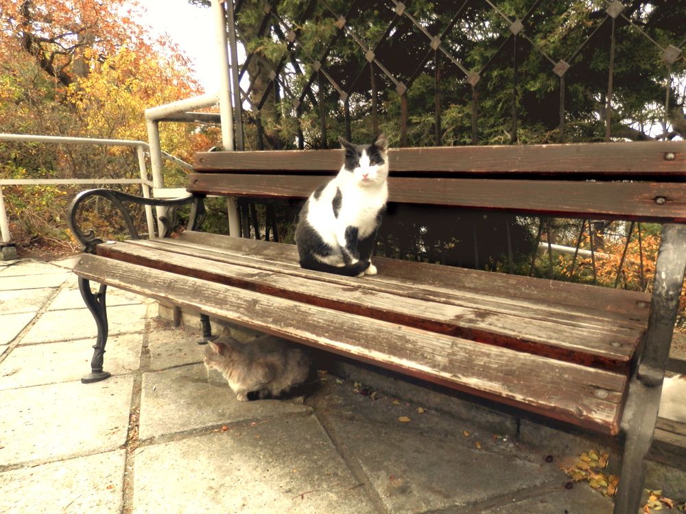 Photograph by Мария