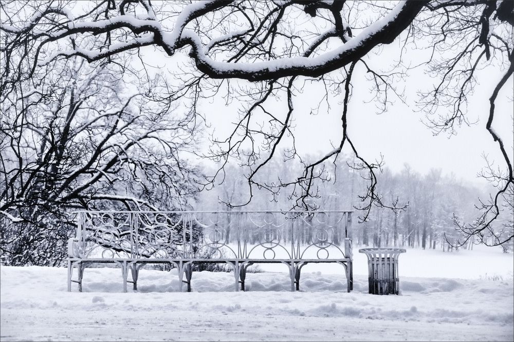 Photograph by Игорь Майоров