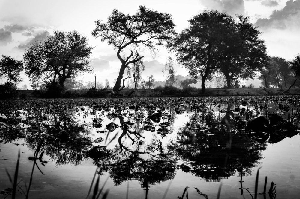 Photograph by Manish (Valmie) Joshi