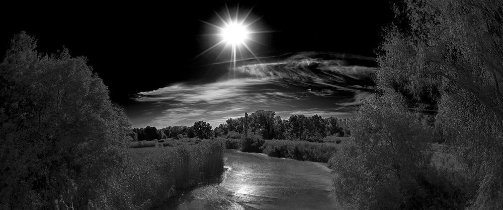 Photograph by Васильев Юрий