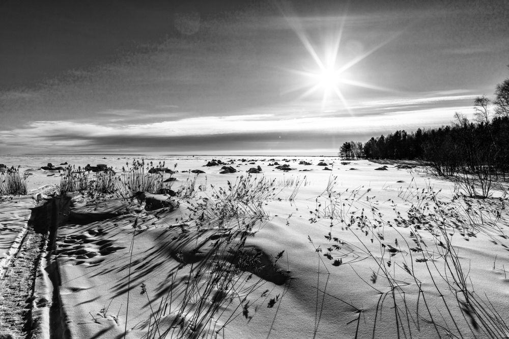 Photograph by Роман Дудкин