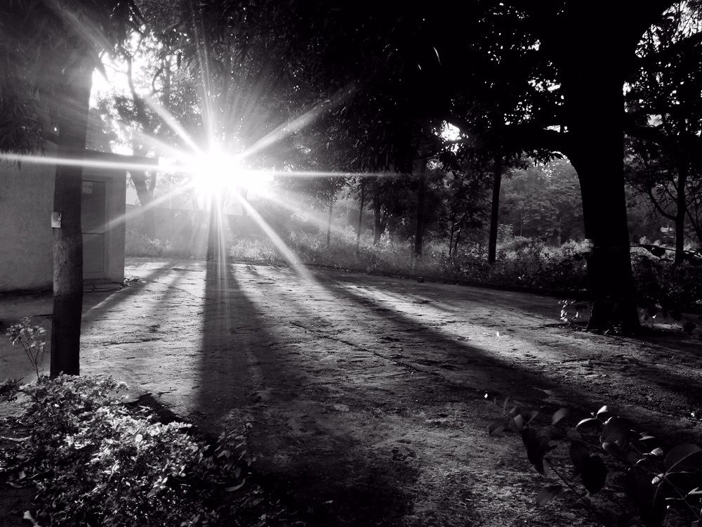 Photograph by Manish (Valmie) Joshi