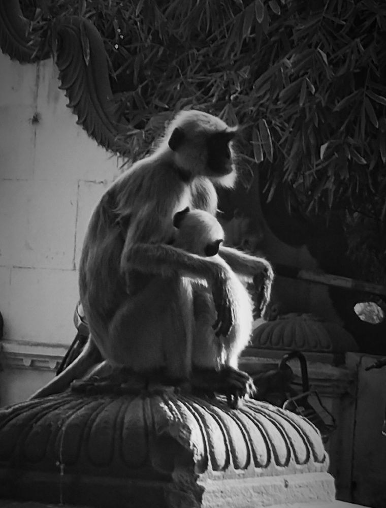 Photograph by Manish (Valmie) Joshi