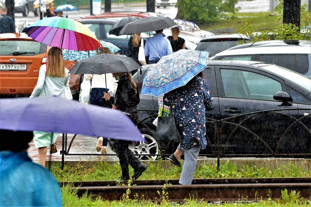 Photograph by Сергей Зубов