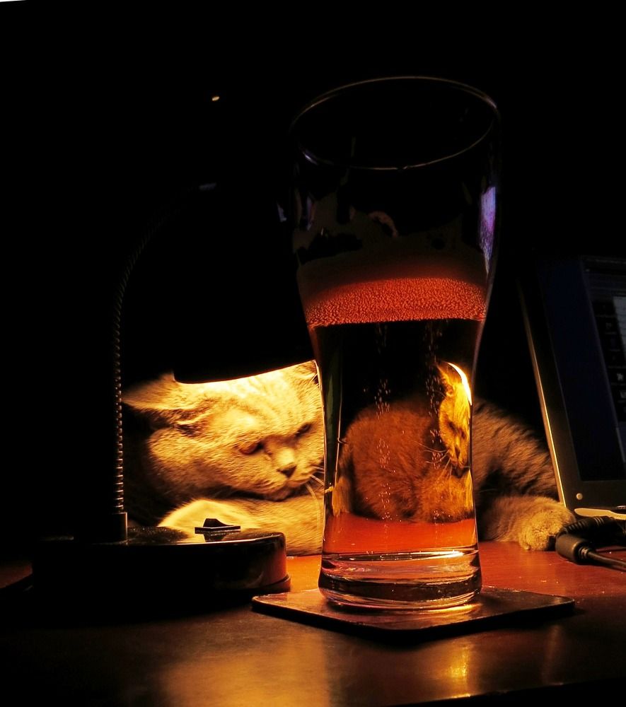 Photograph by Елена