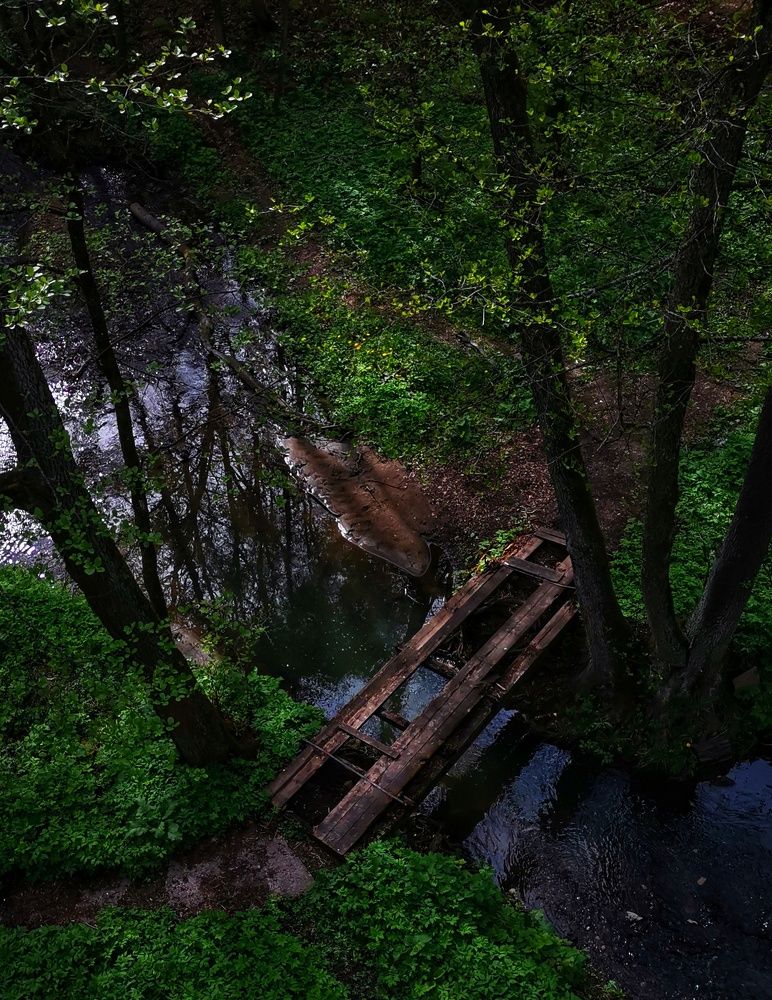 Photograph by Валерия Марцинковская