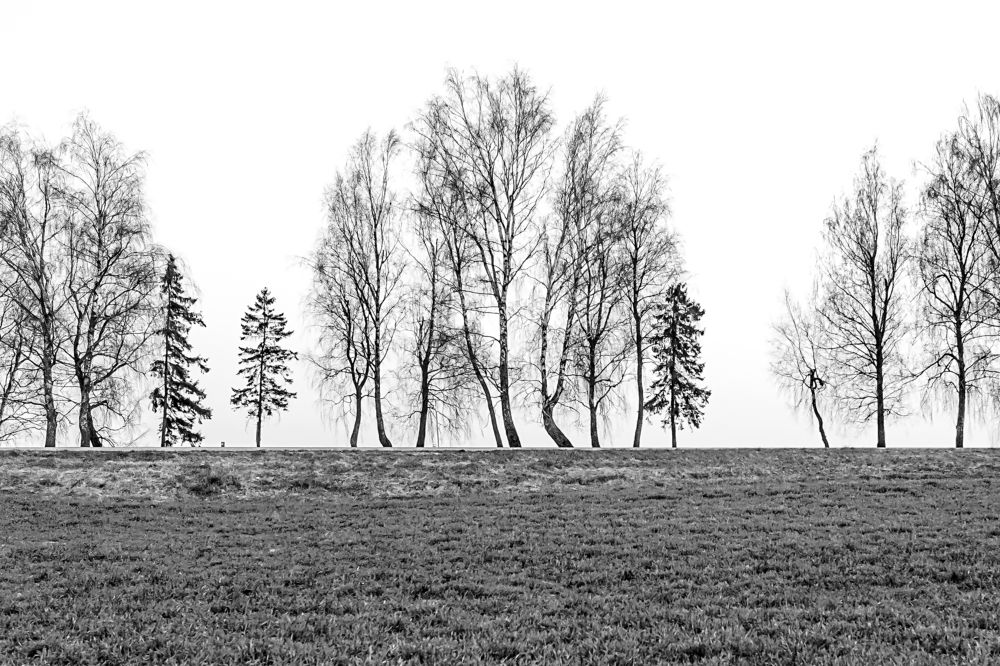 Фотография автора Невмержицкий Валерий