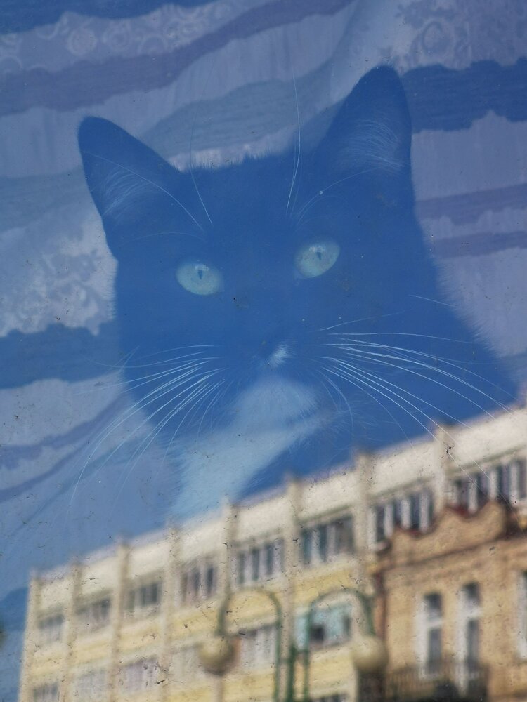 Photograph by Алексей Смоленский