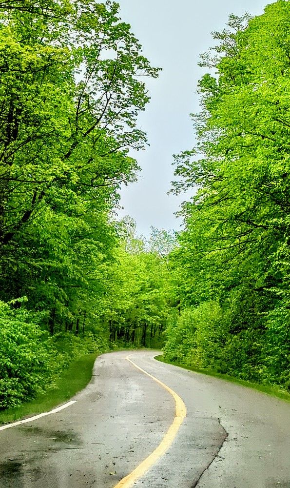 Photograph by Shaila Mahbub