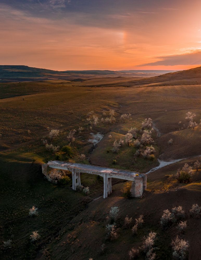 Photograph by Alexey Syukosev