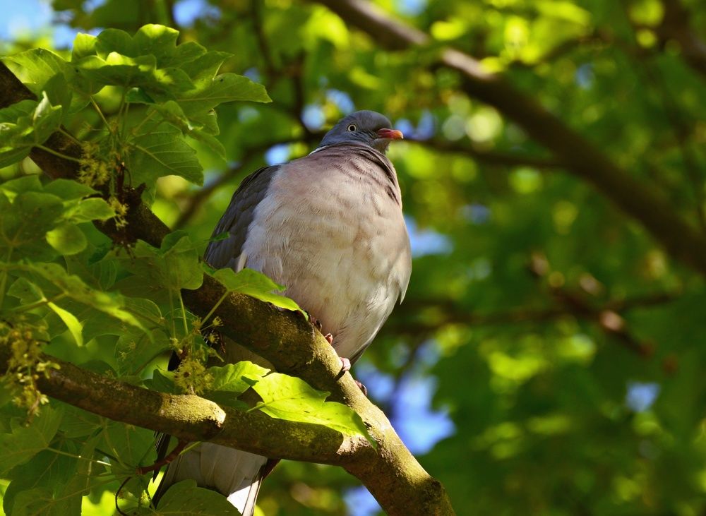 Photograph by Jaroslav Sameš