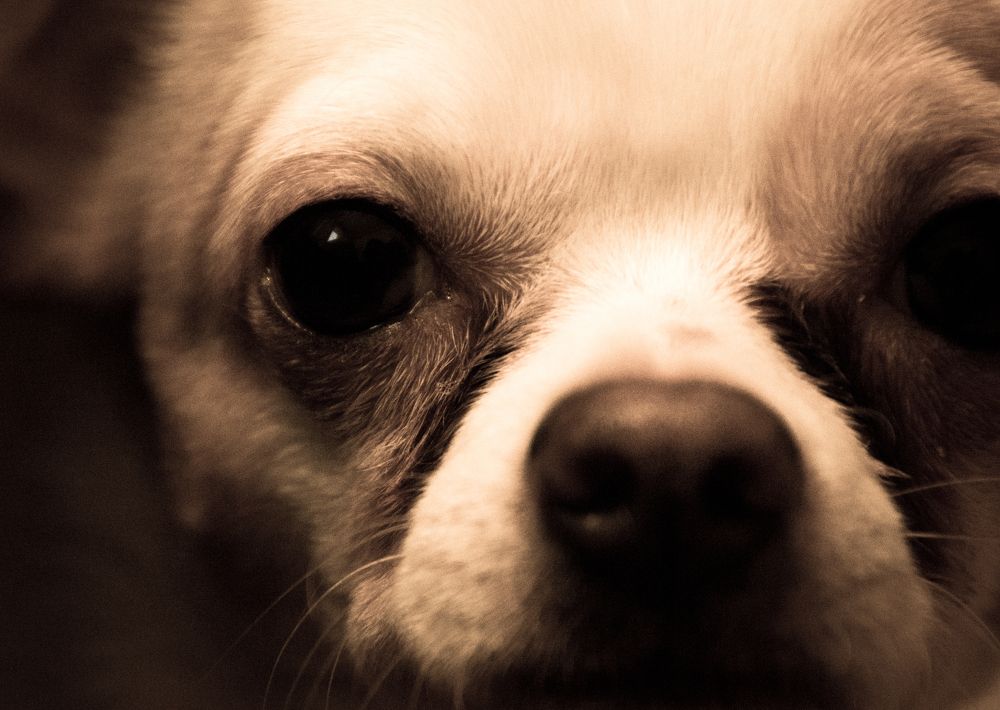 Photograph by Юрий Сычев