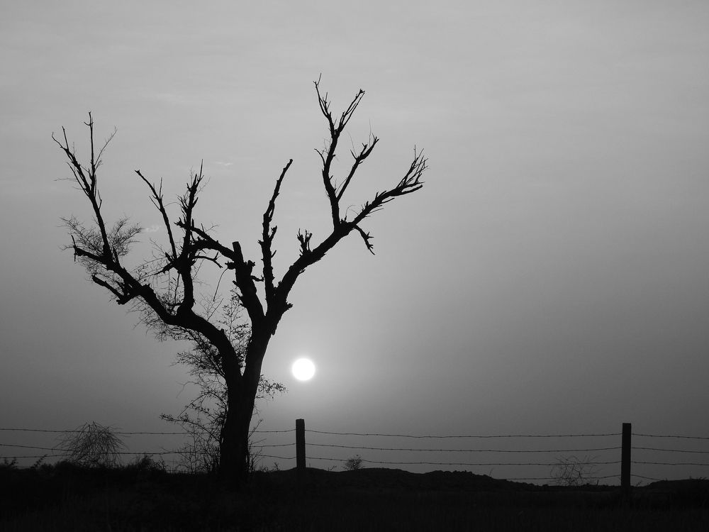 Photograph by Mohammad Tayeb Mahmoudi