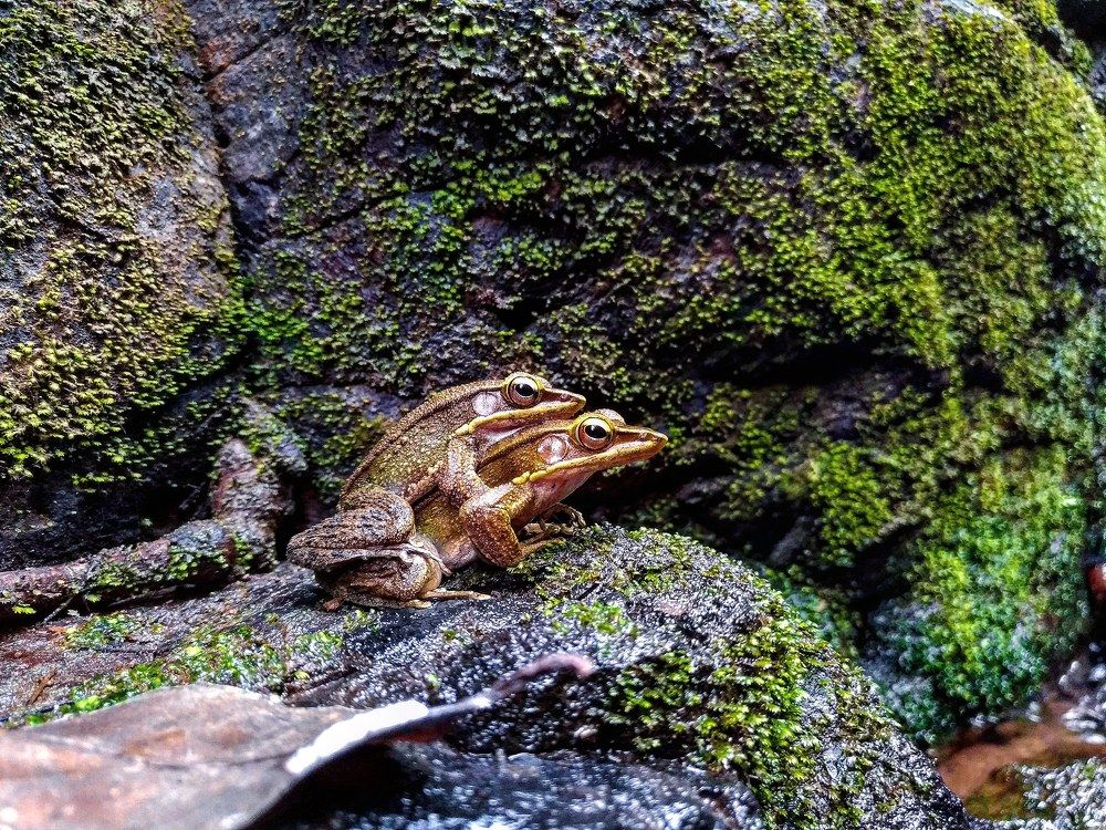 Photograph by Parag dhande