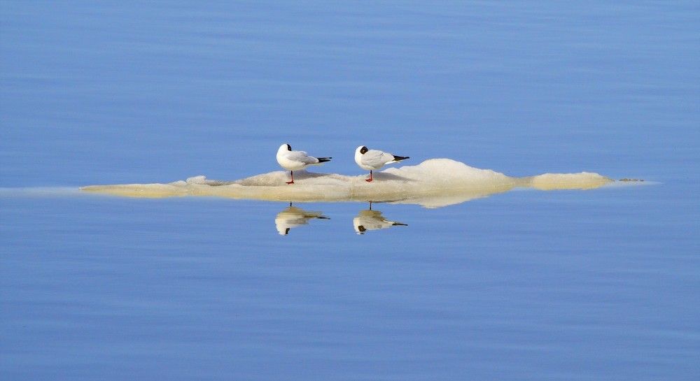 Photograph by Сергей Зубов