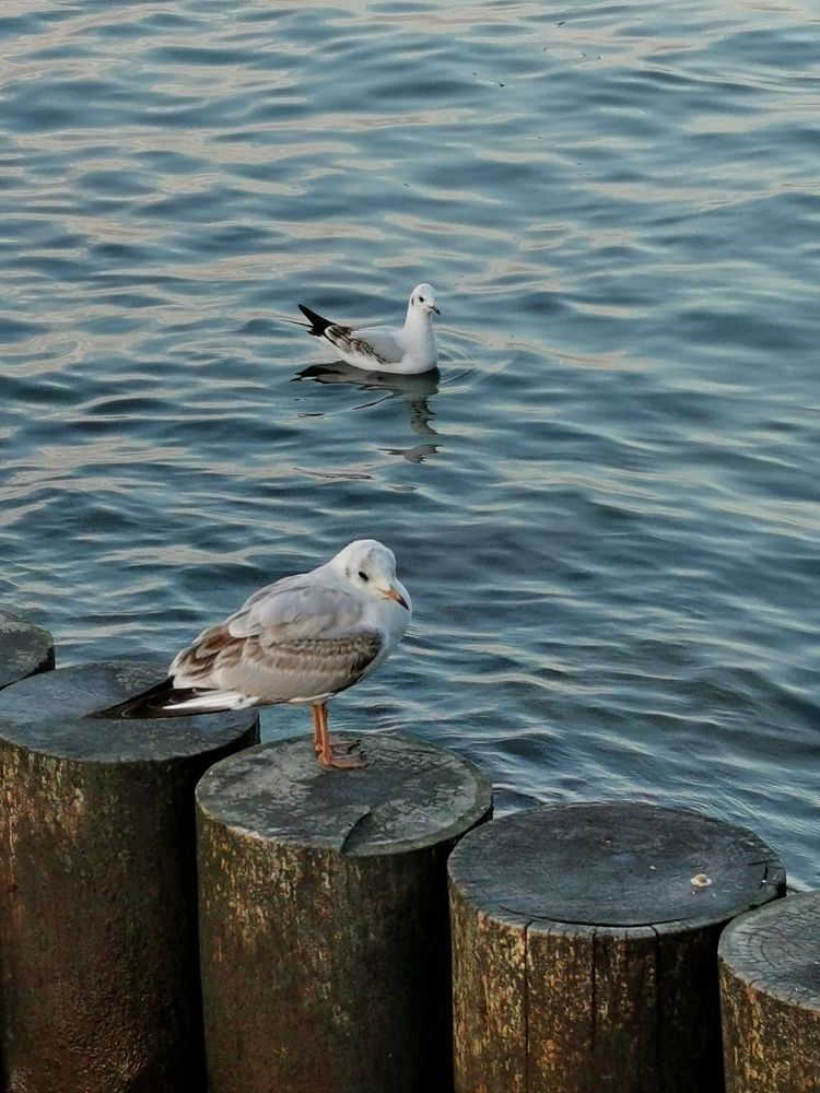 Photograph by Наталия Питолина