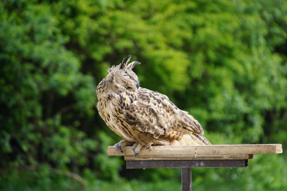 Photograph by Юрий Сычев