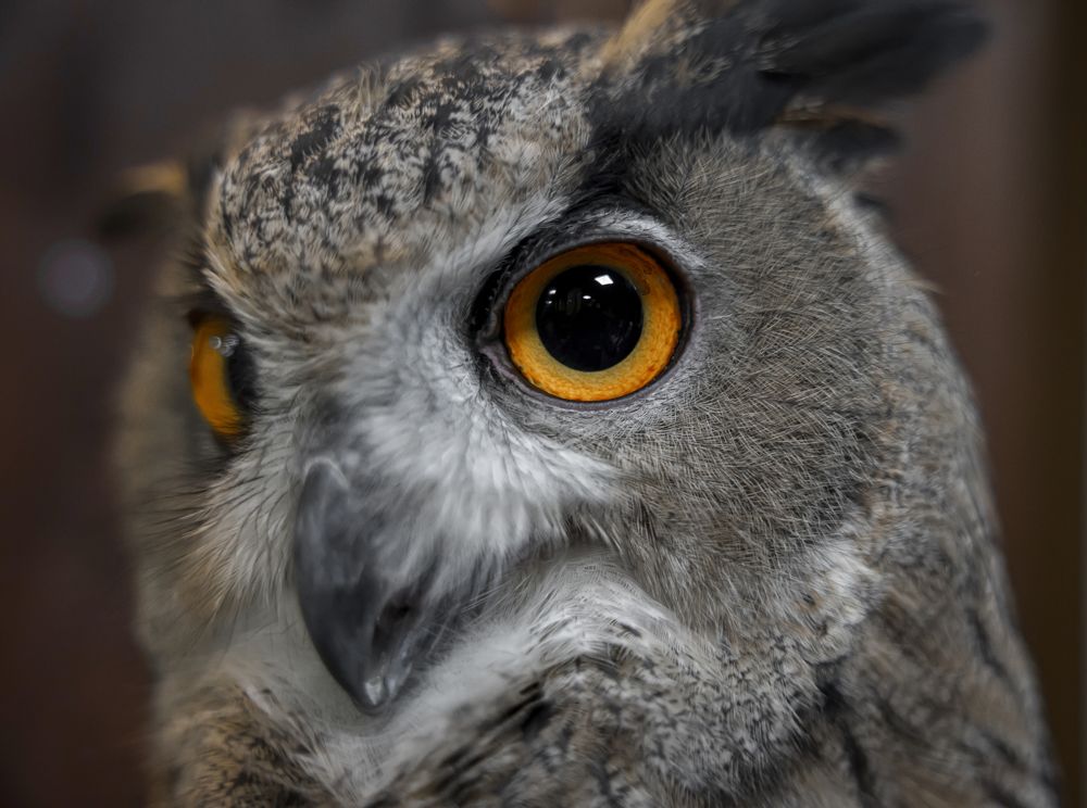 Photograph by Екатерина Кицмен