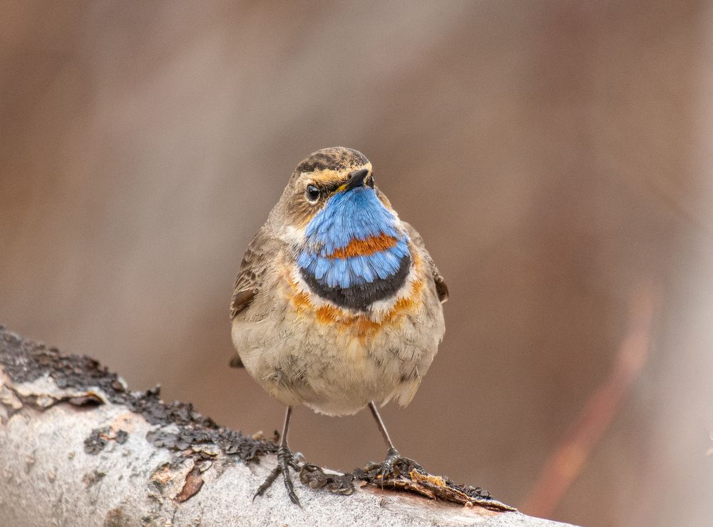 Photograph by Eva Frisnes