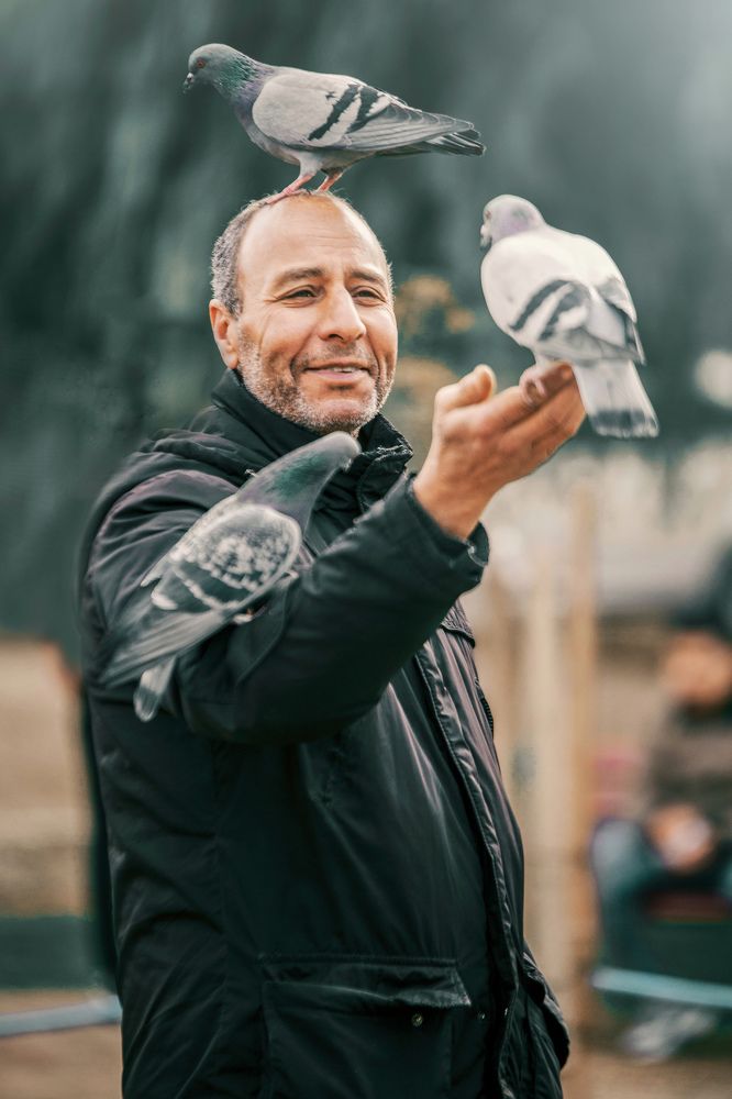 Photograph by noujoud photographer