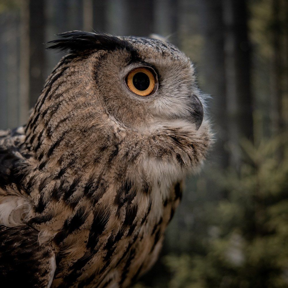 Photograph by Екатерина Кицмен