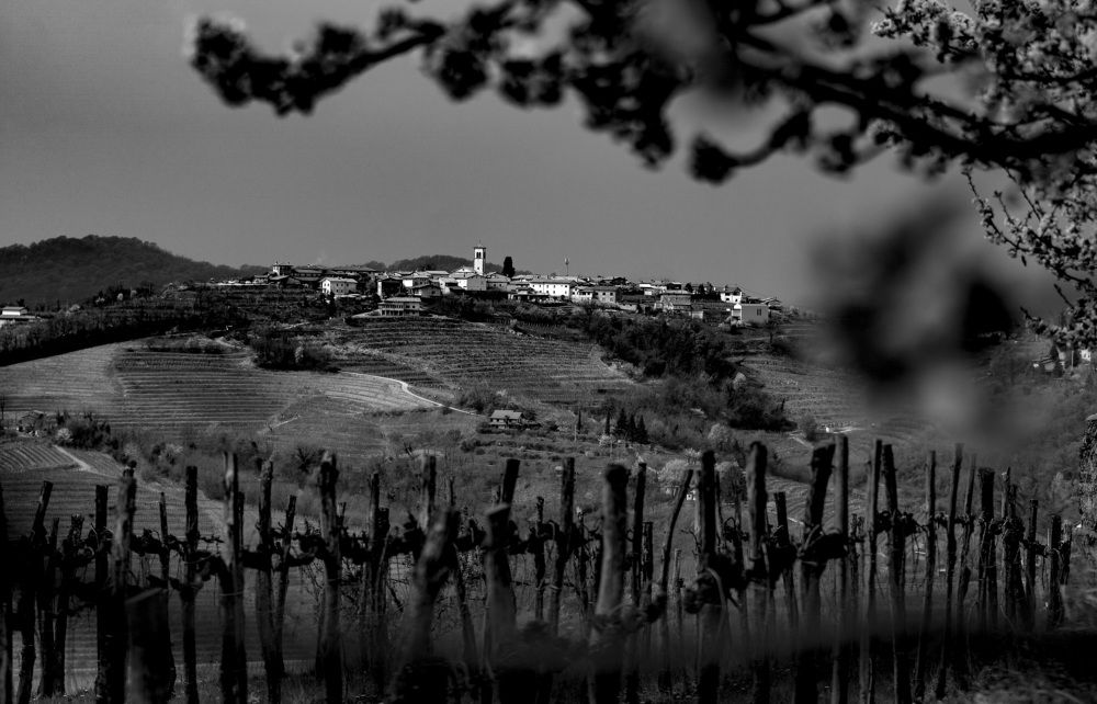 Photograph by brut carniollus