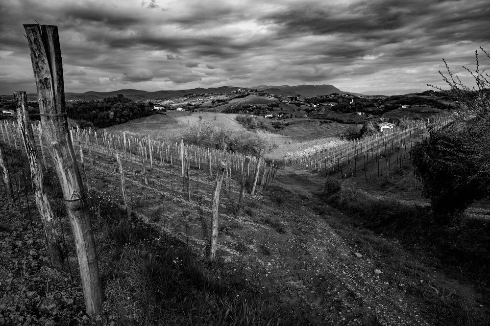 Photograph by brut carniollus