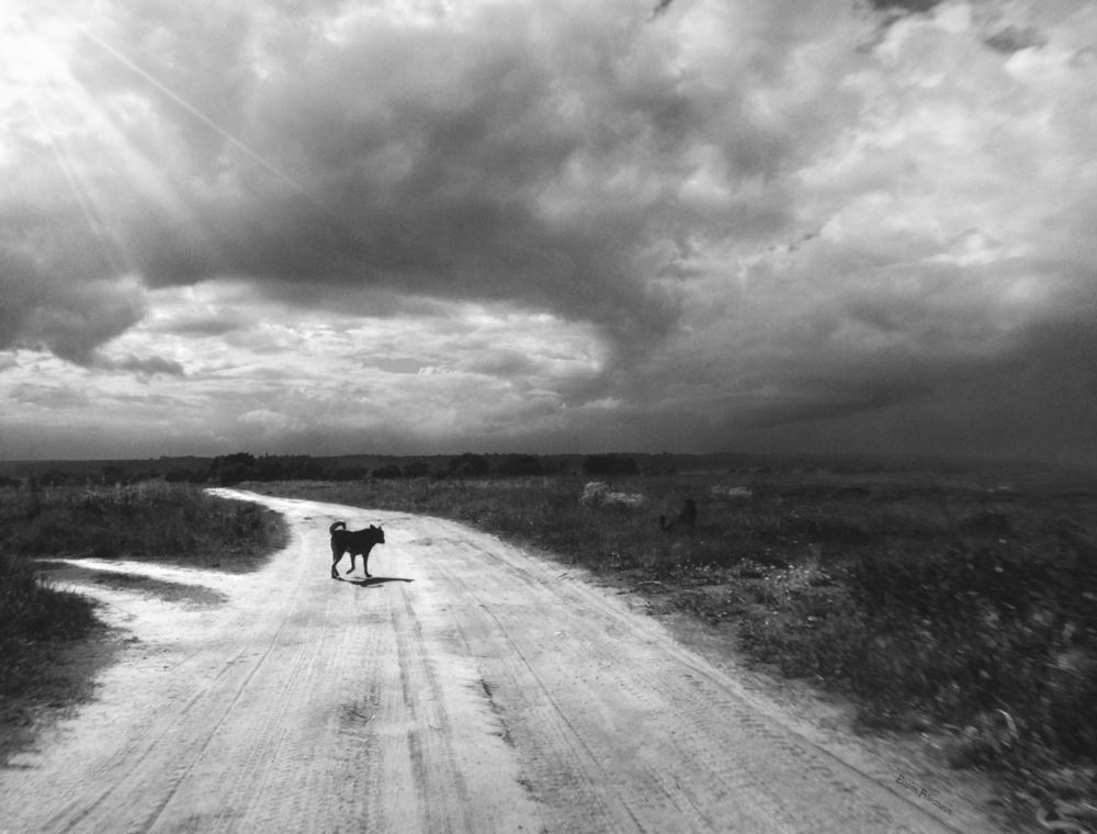 Photograph by Евгений Фридгельм