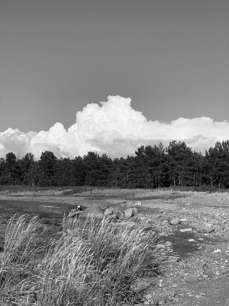 Photograph by Дарья Самойленко