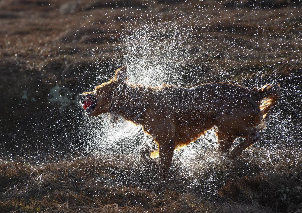 Photograph by Eva Frisnes