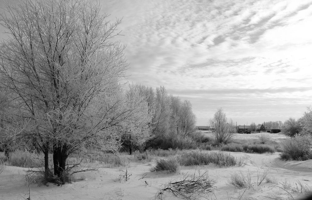 Photograph by Татьяна Котельникова