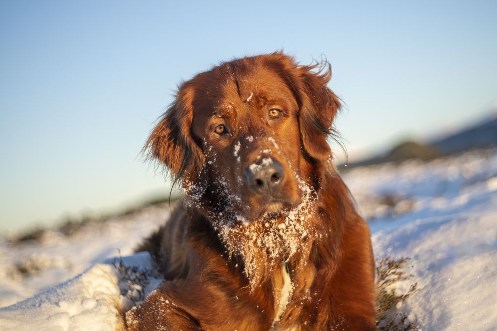 Photograph by Eva Frisnes