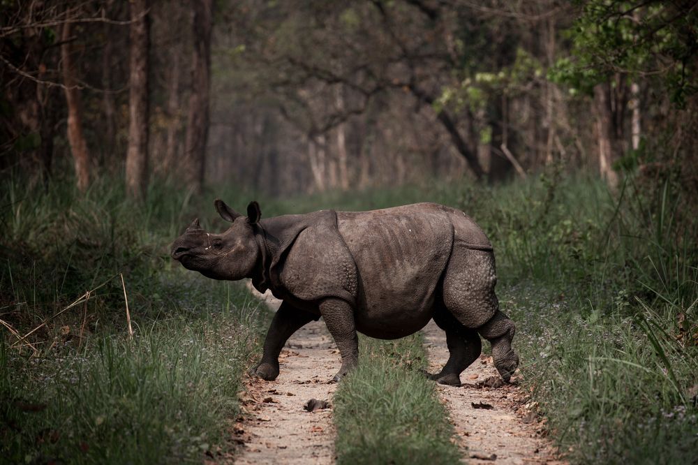 Photograph by Adrian Grigore