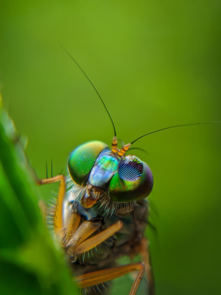 Photograph by Ajeesh A