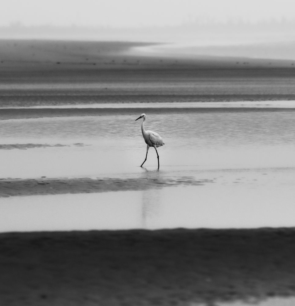 Photograph by Bondhu Dey