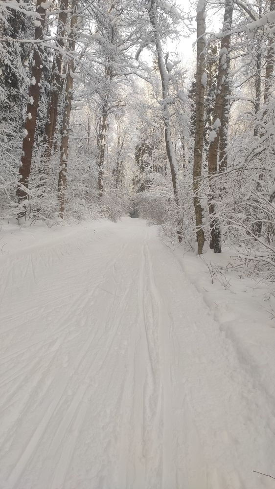 Photograph by Natalia Persidskaia