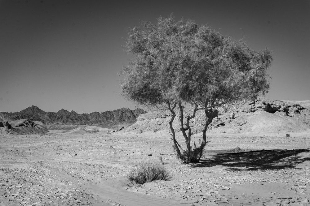 Photograph by Юрий Можейко