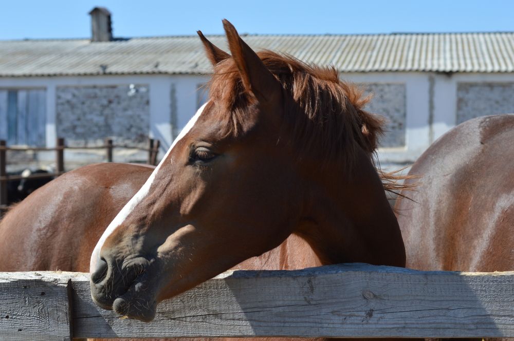 Photograph by Ангелина Ларина