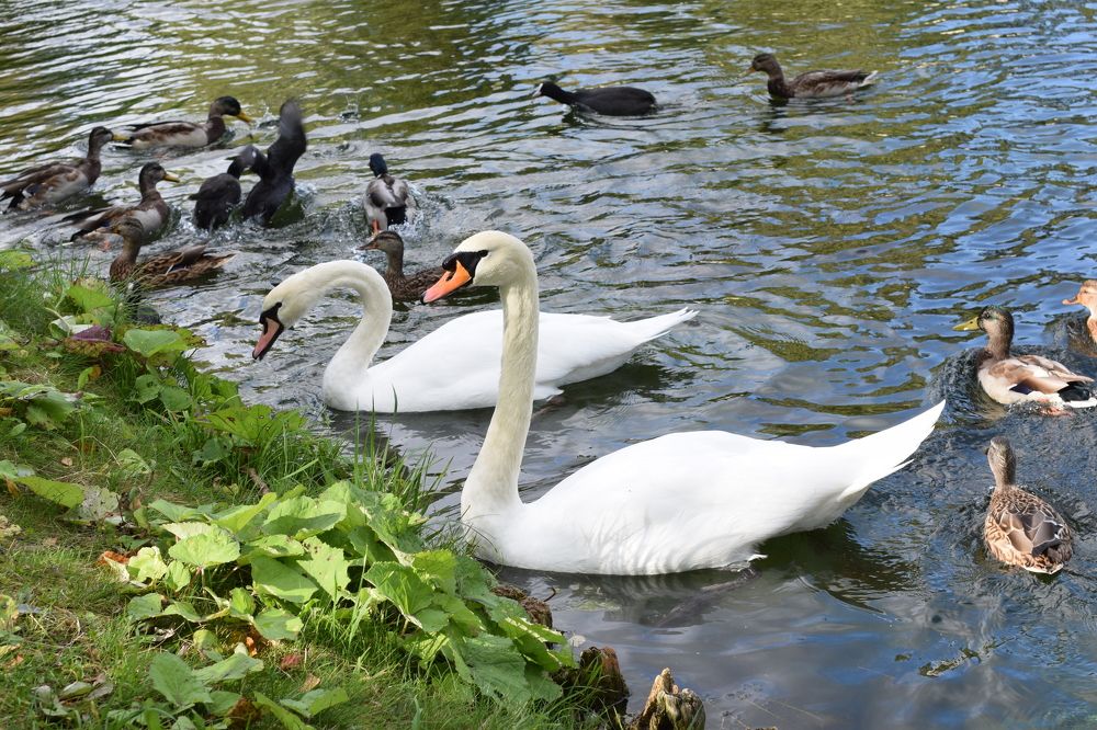 Photograph by Танзиля Завьялова