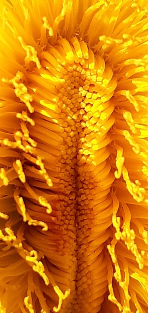 Photograph by Евгения Ульянова